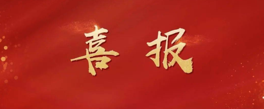 上榜了！矩陣軟件入選山東省第五批專精特新“小巨人”企業(yè)名單